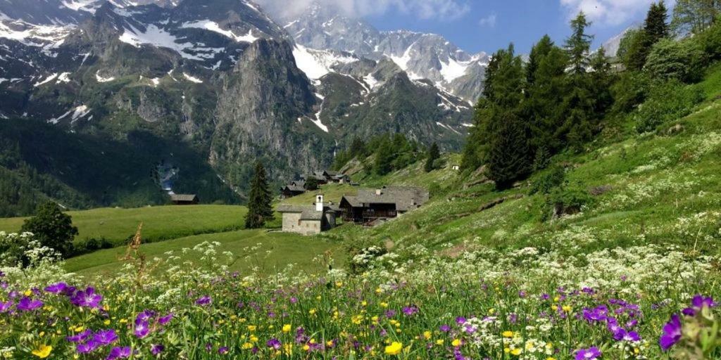 Al Vicolo Del Gallo Varallo Bagian luar foto